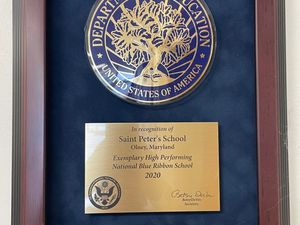 Blue Ribbon Plaque-2020